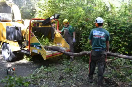 tree services Warm Springs